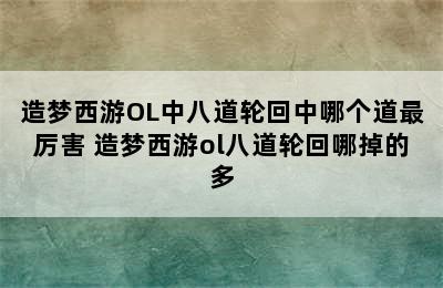 造梦西游OL中八道轮回中哪个道最厉害 造梦西游ol八道轮回哪掉的多